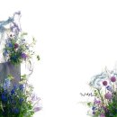 꺄도하우스 | W.11 르꺄도 가성비 플라워디렉팅 추천 멜로필드 웨딩촬영 후기