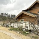 연오랑파크 풀빌라 이미지