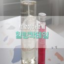 트로이아르케 힐링칵테일로 솔루션 관리해요.
