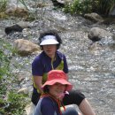 박달재휴양림 이미지