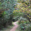 물영아리오름 이미지