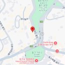 금룡미용실