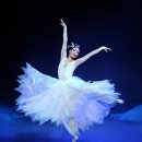서울시티발레단 백조의 호수 이미지
