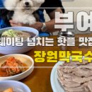 다온이네가게