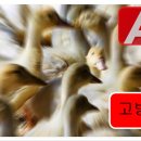 진서농장 이미지