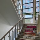 지지배샵 이미지