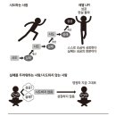 브라운필드 이미지