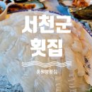 홍원항 | [서천군 횟집] 홍원항횟집 내돈내산 후기 / 홍원항 포토스팟