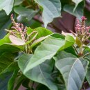 상학초교 이미지