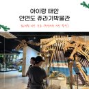 안면고등학교 | 아이랑 태안가볼만한곳 안면고 쥬라기박물관, 36개월미만 무료
