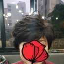 홍가가머리하는곳 이미지