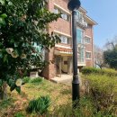 금호동 매화연립아파트 이미지