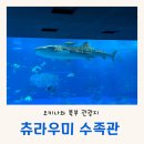 오키나와 북부 여행 고래상어가 있는 세계 2번째로 큰 츄라우미 수족관(대가족 여행, 식당 정보)