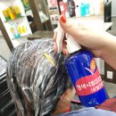 글로리아헤어 - 강북구 | 글로리아헤어