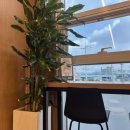 남평점 기아오토큐 이미지