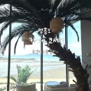 코세드 | 카페코세드 영흥도 후기ㅣ해외 휴양지 온 줄 알았잖아