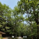 상원사주차장 화장실 이미지