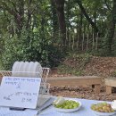 책의숲 | [인천 서구] 마음 챙김 책 숲 산책! 라파의 숲에서 책 읽자! 후기