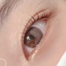 송뷰티 - 종로구 자하문로 273-1 | 송뷰티