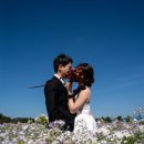 로맨틱 제주 | 제주 갯무꽃 웨딩스냅 촬영 후기 | 5월의 제주, 가장 푸르고 로맨틱한 순간