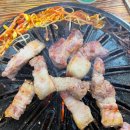 해성도뚜리