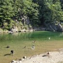 8월 8~9일(토, 일) 삼척 내평계곡+장호항 물놀이 내곡계곡캠핑장 방갈로에서 1박 이미지