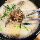 더포레스트스킨