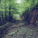 삼탄아트마인 이미지