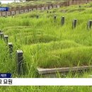 해묵은 천주교 불법 묘지 해법 찾았다[목포MBC 뉴스데스크] 이미지