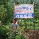 김종한농장 이미지