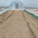 운마농장 이미지