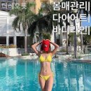 더 레오 핏 네이버블로그