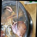 [홍천맛집] 홍천맛집 팔봉리손칼국수 방문 후기!