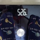 (주)바이오셀 이미지