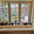 하이디하우스 이미지