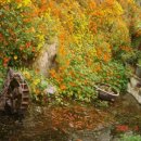 우리봄이네 이미지