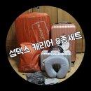 (주)썸덱스 | 썸덱스 캐리어 8종세트 구매후기!