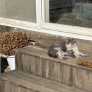 여주-0189 이미지