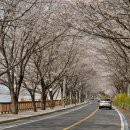 황전북초용림분교장 이미지