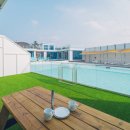 퍼스펫 애견펜션 이미지