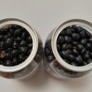 팀터틀랫 기장일광점 이미지