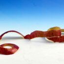 이레과일 이미지