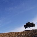 함백농장 이미지