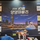 댕댕아 | 2026 서울 댕댕크루즈 펫츠고 여의도 서울크루즈 내돈내산 후기