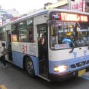 부산, 81번 버스 (2012.4.26~6.6) 동원여객 이미지