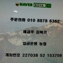 홍천심마니
