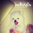 봉구 이미지