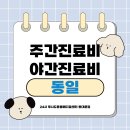 바른진료 동물병원 | 루시드 동물병원 야간 진료 후기 | 동대문 24시 동물 병원 | 성동구 24시 동물 병원 |