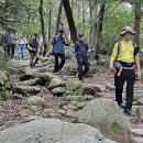 관악산계곡나들길 (35 매화산악회 정기산행 (2023. 9. 19) 이미지