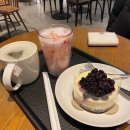 맥주가땅콩을만날때 이미지